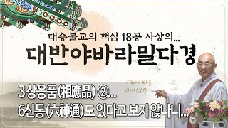 대반야경... 제 61 회...  3 상응품(相應品) ②...  6신통(六神通)도 있다고 보지 않나니...