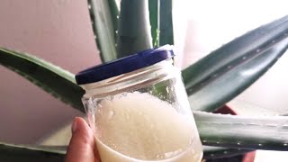 Aloe Vera,  beneficii si cum sa o folosim acasa / Gel si crema de aloe vera