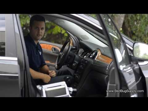How to Get Rid of Bed Bugs in Your Car How to Get Rid of Bed Bugs in Your Car
