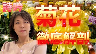 詩吟『菊花　徹底解剖』詩吟好き集まれ！吟活寺子屋募集中！流派や会は関係ありません！吟界に新風を！引っ込んだままでは上手にはなれません！変えるのはあなた自身です！