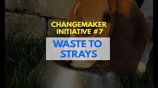 Changemaker Initiative #7 | Waste to Strays | Changemaker Ed. 2017-18 | 7th grade | NPS-Krm, B'lore