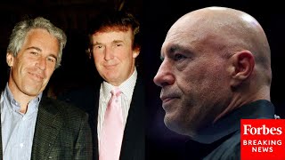 Joe Rogan Suggests Trump Is Using ICE Raids To Distract From Epstein Files