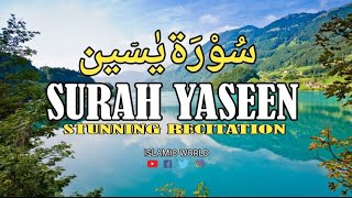 yaseen | Surah yaseen | world most beautiful recitation of Surah yaseen(سورة يسين) | islamic world |