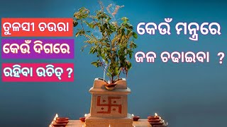 ଘରର କେଉଁ ପଟେ ତୁଳସୀ ଚଉରା ରହିବା ଉଚିତ୍ ? ସଠିକ୍ ଦିଗ କେଉଁଟା ? କେଉଁ ମନ୍ତ୍ର ରେ ଜଳ ଦେବେ ?#tulasi #dashmanoj