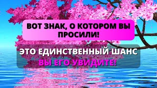 😨 ЭТО ЗНАК, О КОТОРОМ ВЫ ПРОСИЛИ! НЕ ТЯНИТЕ! 🌟 Бог говорит ✨ Божье послание сегодня