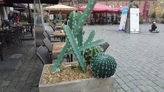 A 4K Walking Tour Through The Heart Of Nijmegen.