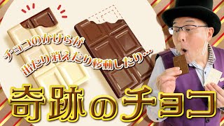 【マジックグッズ紹介】チョコに奇跡が起きる！？ミラクルミルクチョコレート【テンヨー】【キデイランド大阪梅田店マジックショップ】