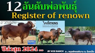 อันดับวัวพ่อพันธุ์บราห์มัน ปี2024 (Register of renown)