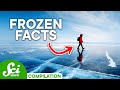The Dangerous Beauty of Winter | SciShow Compilation