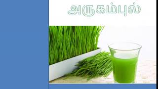 அருகம் புல்லின் பயன்கள்  - Health benefits of Scutch Grass ,bermuda grass