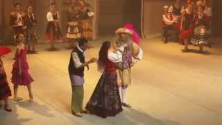 Don Quixote 2nd Act - Domenico Salvatore as Gamache - Compilation