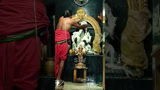 Sankatahara Chaturthi Special Abhishekam to Lord Ganesha 🙏#vinayagar #youtubeshorts