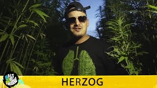 HERZOG - BLÄTTER, DIE DIE WELT BEDEUTEN - HALT DIE FRESSE NR. 368 (OFFICIAL HD VERSION AGGROTV)