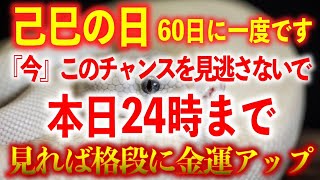 金運最強己巳の日！弁財天様の使い白蛇様に出会えます※金運アップのパワースポット【蛇窪神社】A power spot to increase your fortune【Hebikubo Shrine】