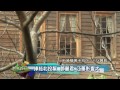 壹walker 第17集 part1 特色建築