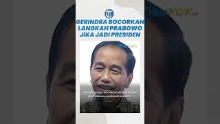 Gerindra Bocorkan Langkah Prabowo Jika 2024 Jadi Presiden, Janji Lanjutkan Kerja Jokowi