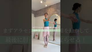 補足❷バランセ！ #バレエ #大人バレエ #バレエレッスン #primaballettklasse #ballet #お家バレエ #balletclass