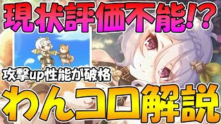 【プリコネR】現状評価が出来ない！？超面白性能で出てきたコッコロレンジャー性能解説【わんコロ】