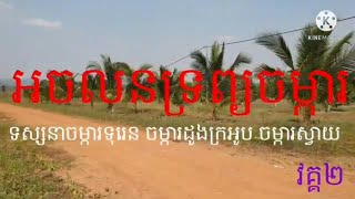 Ep 54: អចលនទ្រព្យចម្ការខេត្តកំពត ( វគ្គ២) | Farm Real Estate Kampot Province (Part 2) | Maline Long