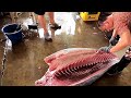 superb skillss for fluency cutting bluefin tuna in 3 minutes