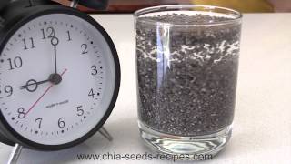 Watch Chia Seed Expanding in Time Lapse