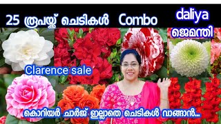 കൊറിയർ ചാർജ് ഇല്ലാതെ ചെടികൾ എങ്ങനെ വാങ്ങാം 🔥സത്യം ഇതാണ്💢plants for sale/combo offer/Jasmin's world/