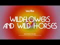 Lainey Wilson - Wildflowers And Wild Horses (Official Audio)