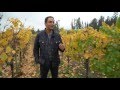 Chile - Neyen de Apalta's Ancient Vines