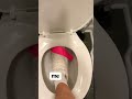 changing the toilet paper gone wrong