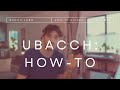 uBACCH - The How-To Guide from BACCH Labs