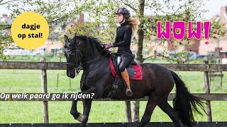 Dagje op stal en op welk paard rij ik? NIEUW PAARD? |Purarazadivino #VLOG 70