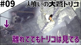 #9【人喰いの大鷲トリコ】少年と大鷲トリコの絆の物語【初見実況】