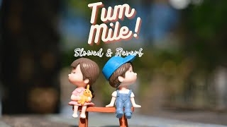 Tum Mile (Slowed and Reverb) - Lofi | Taimoor Music