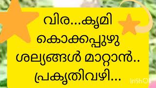 വിര.. കൃമി.. കൊക്കപ്പുഴു.. ശല്യങ്ങൾ മാറാൻ...