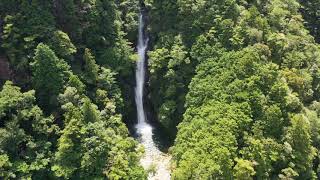 ドローン空中散歩　熊野の滝（２）宝竜滝（和歌山県新宮市熊野川町滝本）／「昇り竜」の視点で