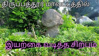 Mushroom rocks in tamilnadu / தமிழ்நாட்டில் அதிசய காளான் பாறை