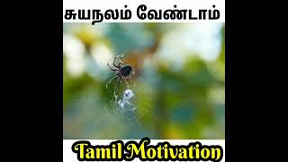 பொறாமை பட்டா இதான் நடக்கும் |tamil motivation | jsv thirai