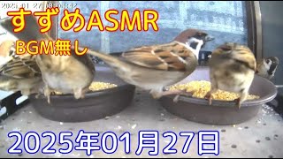 2025年01月27日 すずめASMR（BGM無し）