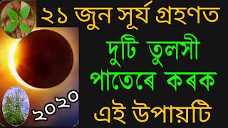 সূৰ্য গ্ৰহণত দুটি তুলসী পাতেৰে কৰক এই উপায় ।