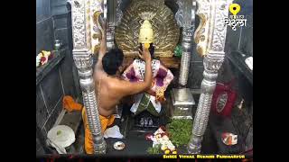 Shree Vithal Live Darshan Pandharpur | अभिषेक आरती दर्शन #vithalrukaminidarshan #pandharpurlive