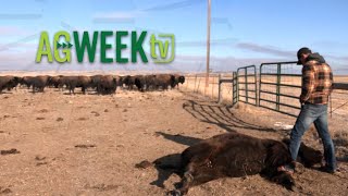 AgweekTV Full Episode 12/21/24 S10E51