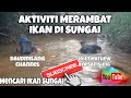 Salah Satu Cara Suku Dayak Iban Mendapat Ikan Di Sungai..