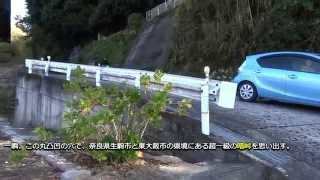 笠置山自然公園へサイクリング