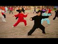 chen shi taijiquan 74 forms full taolu 陈氏太极拳 老架一路 74式 chen style