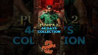 Pushpa 2 44 Days Collection || #shorts