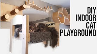 Ultimate DIY Indoor Cat Playground You Can't Miss