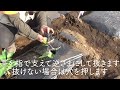 失敗しない苗植え！家庭菜園や農園栽培でgwにやりたいトマト・ナス・ピーマン・きゅうり等の育て方を徹底解説！【農園ライフ】