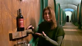 Caparzo Rosso di Montalcino DOC (03/2021)