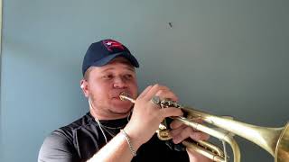 Roller Coaster-Dirty Loops Lead Trumpet Cover