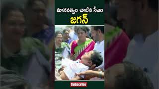 మానవత్వం చాటుకున్న సీఎం జగన్..! | CM YS Jagan Proves His Humanity | NSE